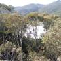 Thredbo