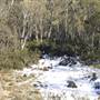 Thredbo