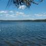 Wallaga Lake Bridge