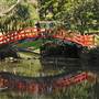 Wollongong Botanic Garden