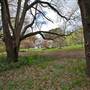 Parklands Country Garden & Lodges
