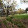 Parklands Country Garden & Lodges