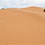 Perry Sandhills