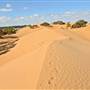 Perry Sandhills
