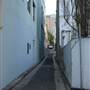 Surry Hills