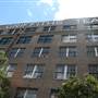 Surry Hills
