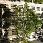 Sydney CBD - Macquarie Street