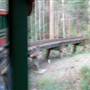 Timbertown