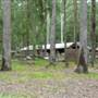 Timbertown
