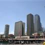 Sydney City CBD Skyline