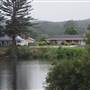 Taree