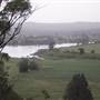Taree