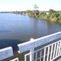 Taree