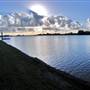 Taree