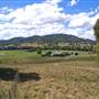 Wingham