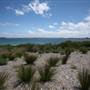 Yarra Bay Beach, Yarra Point & Bicentennial Park