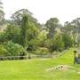 Wollombi