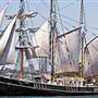 Southern Swan - Ship