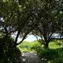 Tuckers Rocks Beach & Cottage - Bongil Bongil National Park