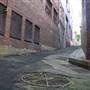 Surry Hills - Sophia Lane