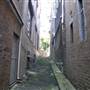 Surry Hills - Sophia Lane