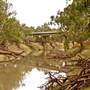 Walgett Area
