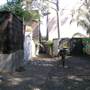Surry Hills - Sophia Lane