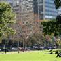 Hyde Park and Archibald Fountain - Sydney CBD
