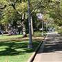 Hyde Park and Archibald Fountain - Sydney CBD