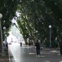 Hyde Park and Archibald Fountain - Sydney CBD