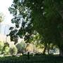 Hyde Park and Archibald Fountain - Sydney CBD