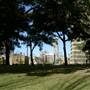 Hyde Park and Archibald Fountain - Sydney CBD