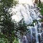 Tristania Falls - Dorrigo National Park
