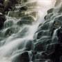 Tristania Falls - Dorrigo National Park