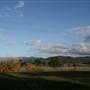 Tweed Valley 2 of 2