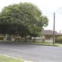 Lindfield