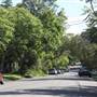 Lindfield