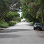 Bannockburn Rd - Pymble