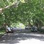 Bareena Ave - Pymble