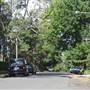 Braeside St - Pymble