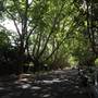 Water St - Pymble
