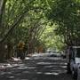 Water St - Pymble