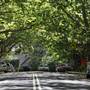 Water St - Pymble