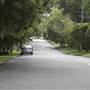 Congham Rd - Pymble