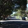 Willoughby neighbourhood