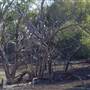 Broken Hill
