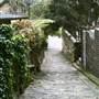 The Rocks - Streetview