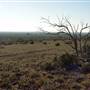 Farmcote Station - Broken Hill