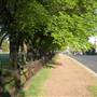 Armidale