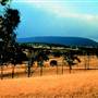 Armidale